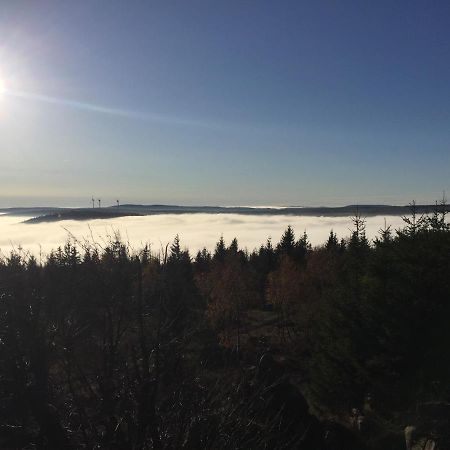فيلا Erzgebirgsholzhaus Am Lugstein Altenberg المظهر الخارجي الصورة