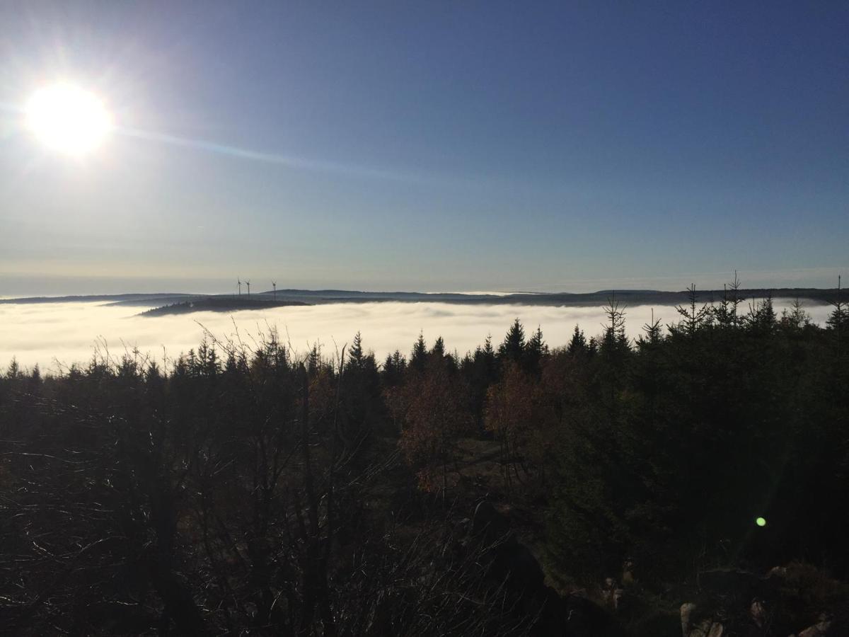 فيلا Erzgebirgsholzhaus Am Lugstein Altenberg المظهر الخارجي الصورة