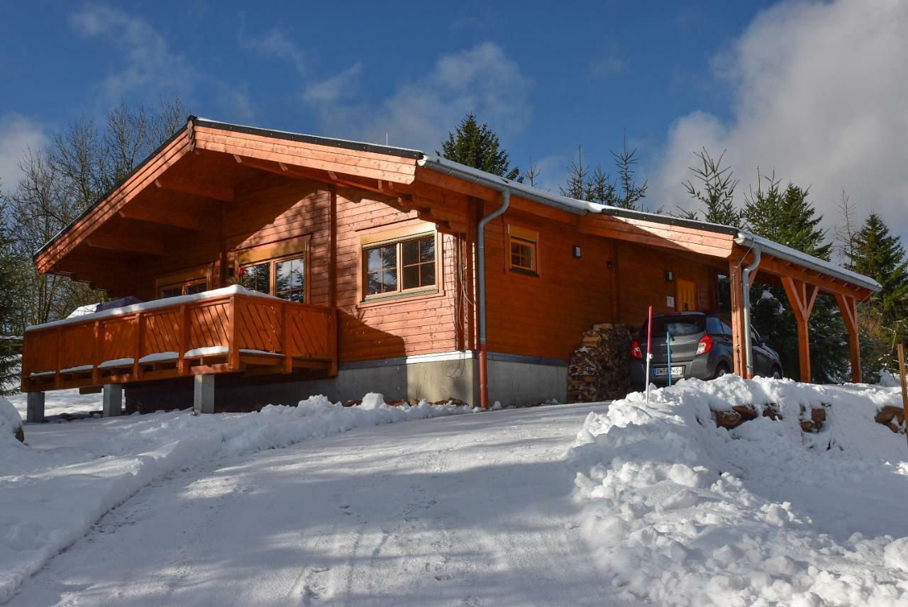 فيلا Erzgebirgsholzhaus Am Lugstein Altenberg المظهر الخارجي الصورة